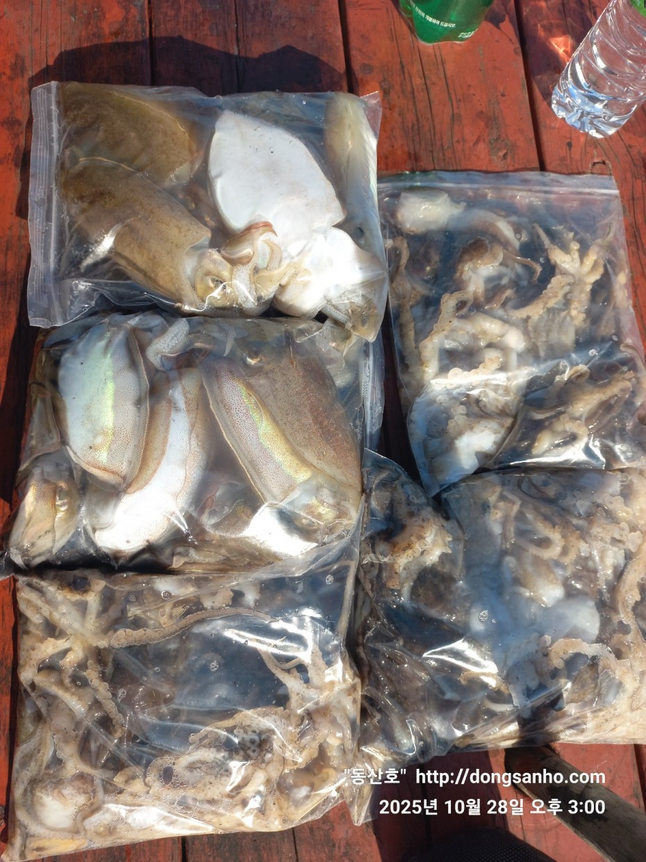 52a01e3ee9511b8561b8eb510a03d07b_1761662