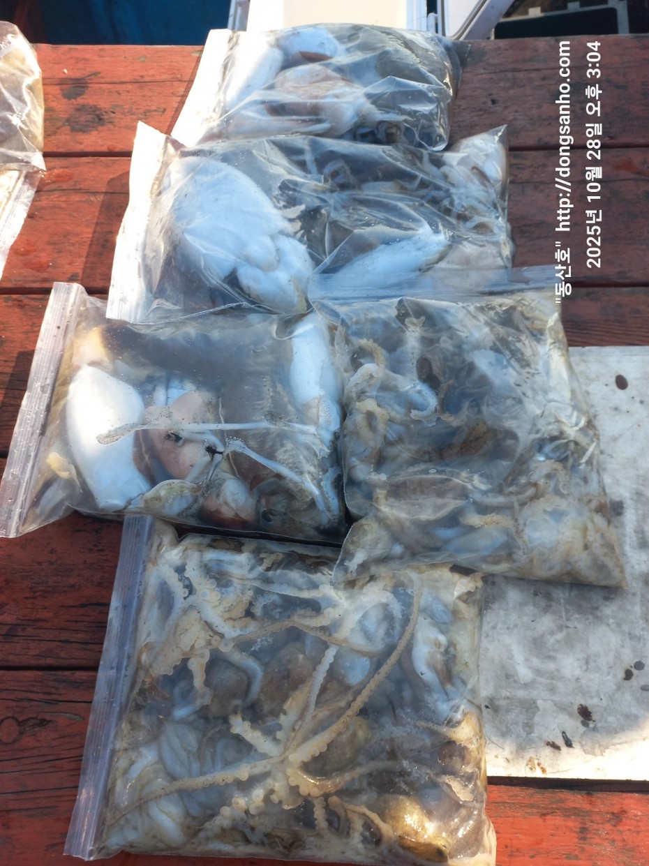 52a01e3ee9511b8561b8eb510a03d07b_1761662