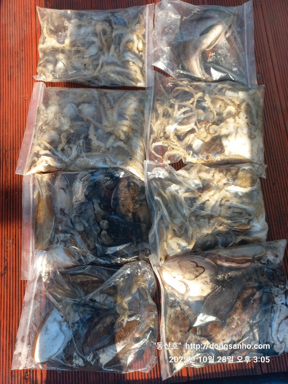 52a01e3ee9511b8561b8eb510a03d07b_1761662