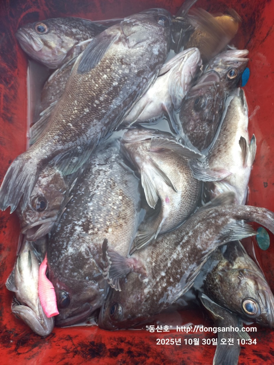 7d30dcb03b45fb1b44cff8fb69eace37_1761841