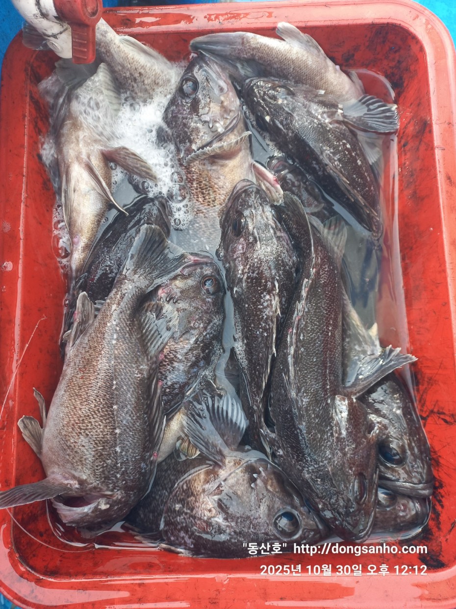 7d30dcb03b45fb1b44cff8fb69eace37_1761841