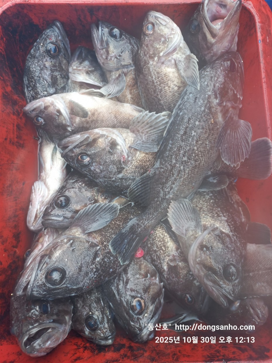 7d30dcb03b45fb1b44cff8fb69eace37_1761841