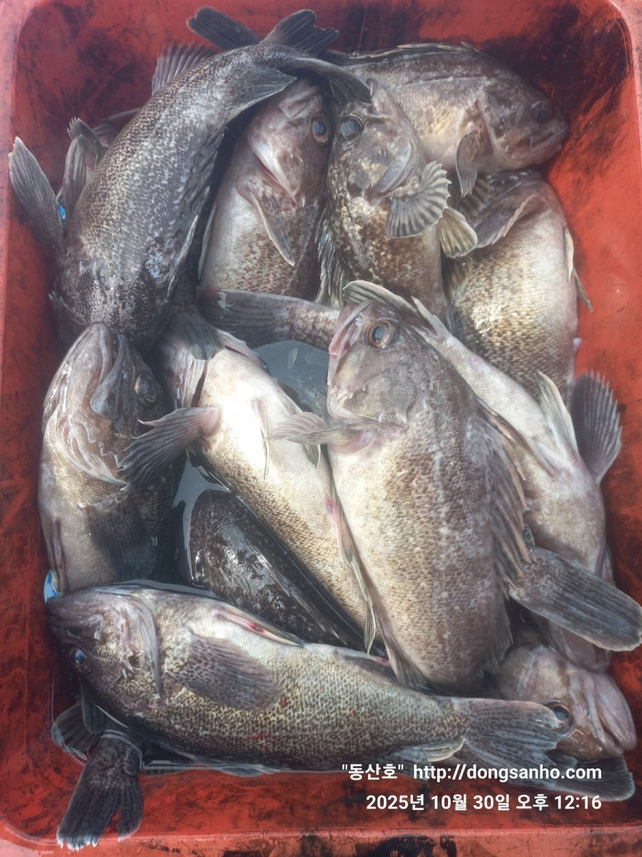 7d30dcb03b45fb1b44cff8fb69eace37_1761841