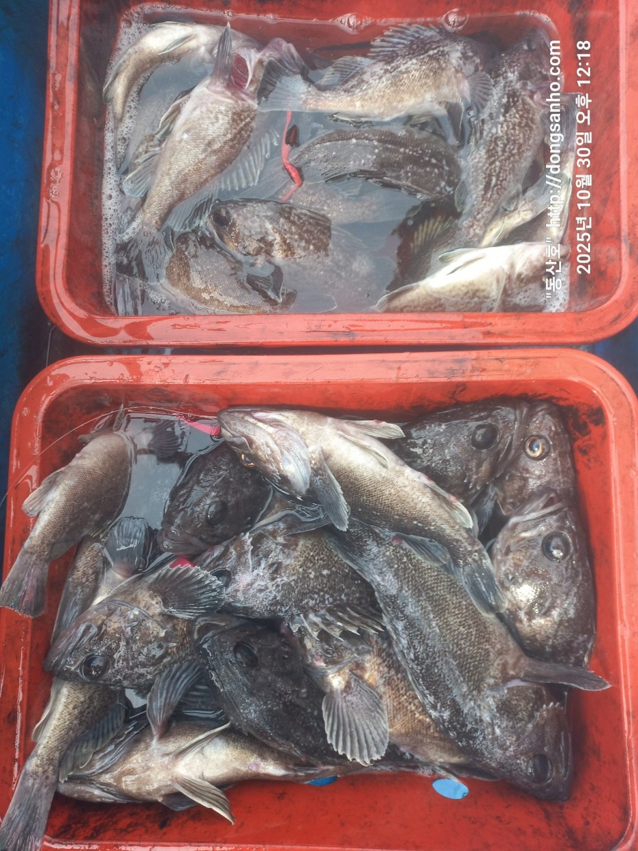 7d30dcb03b45fb1b44cff8fb69eace37_1761841