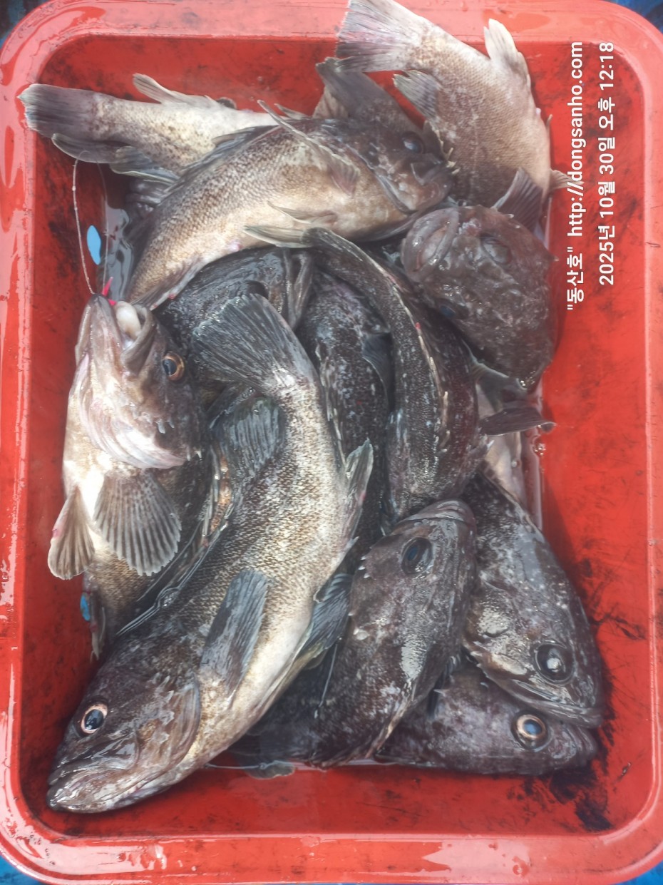 7d30dcb03b45fb1b44cff8fb69eace37_1761841