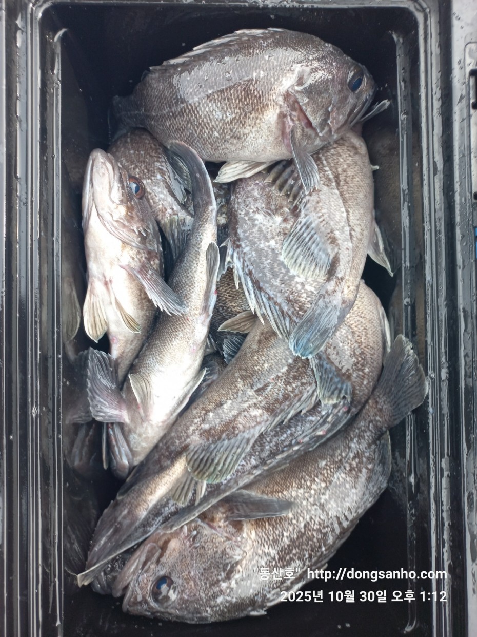 7d30dcb03b45fb1b44cff8fb69eace37_1761841