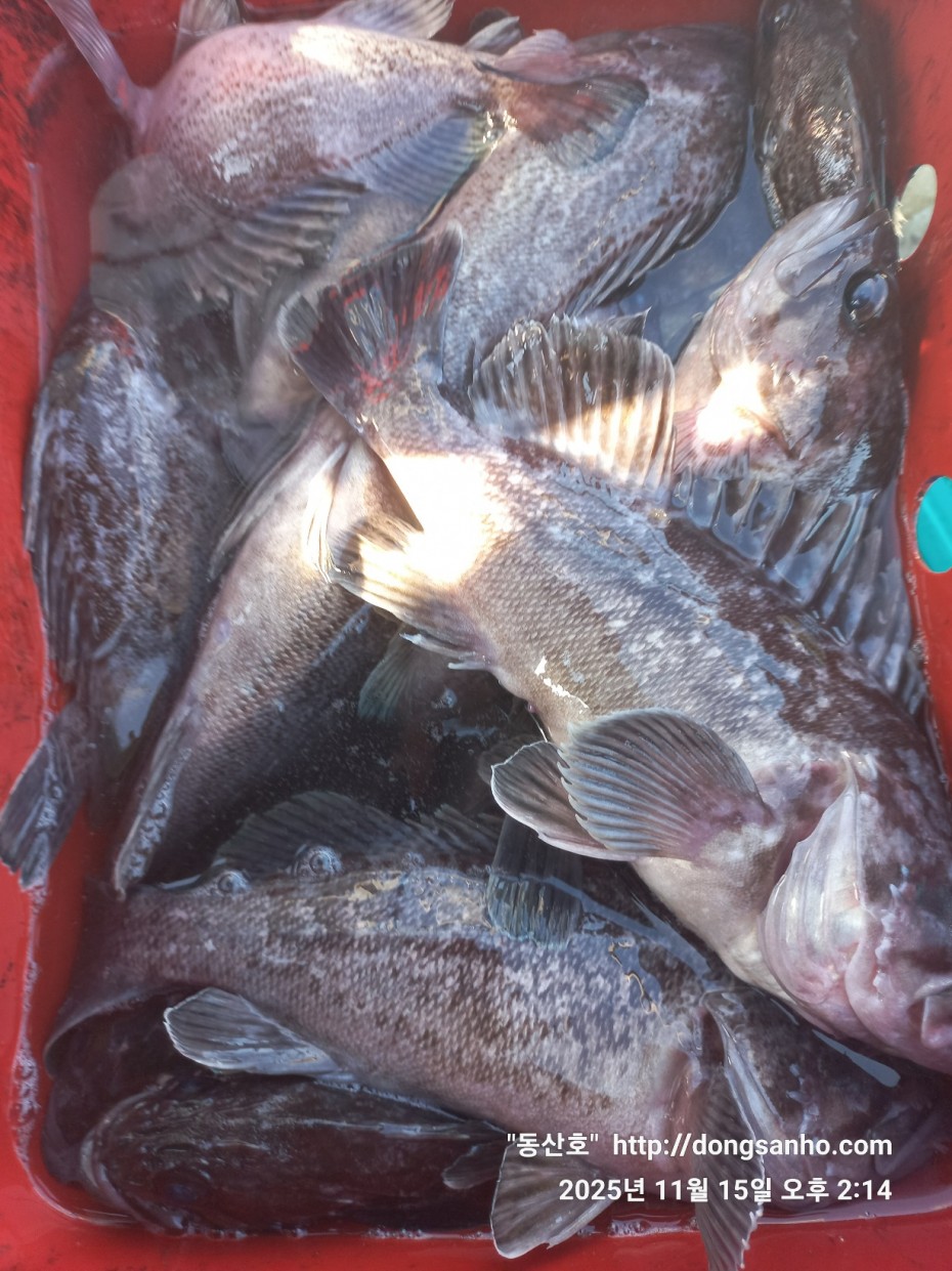 470b55d5e41a17c028eb64456d55faa6_1763337