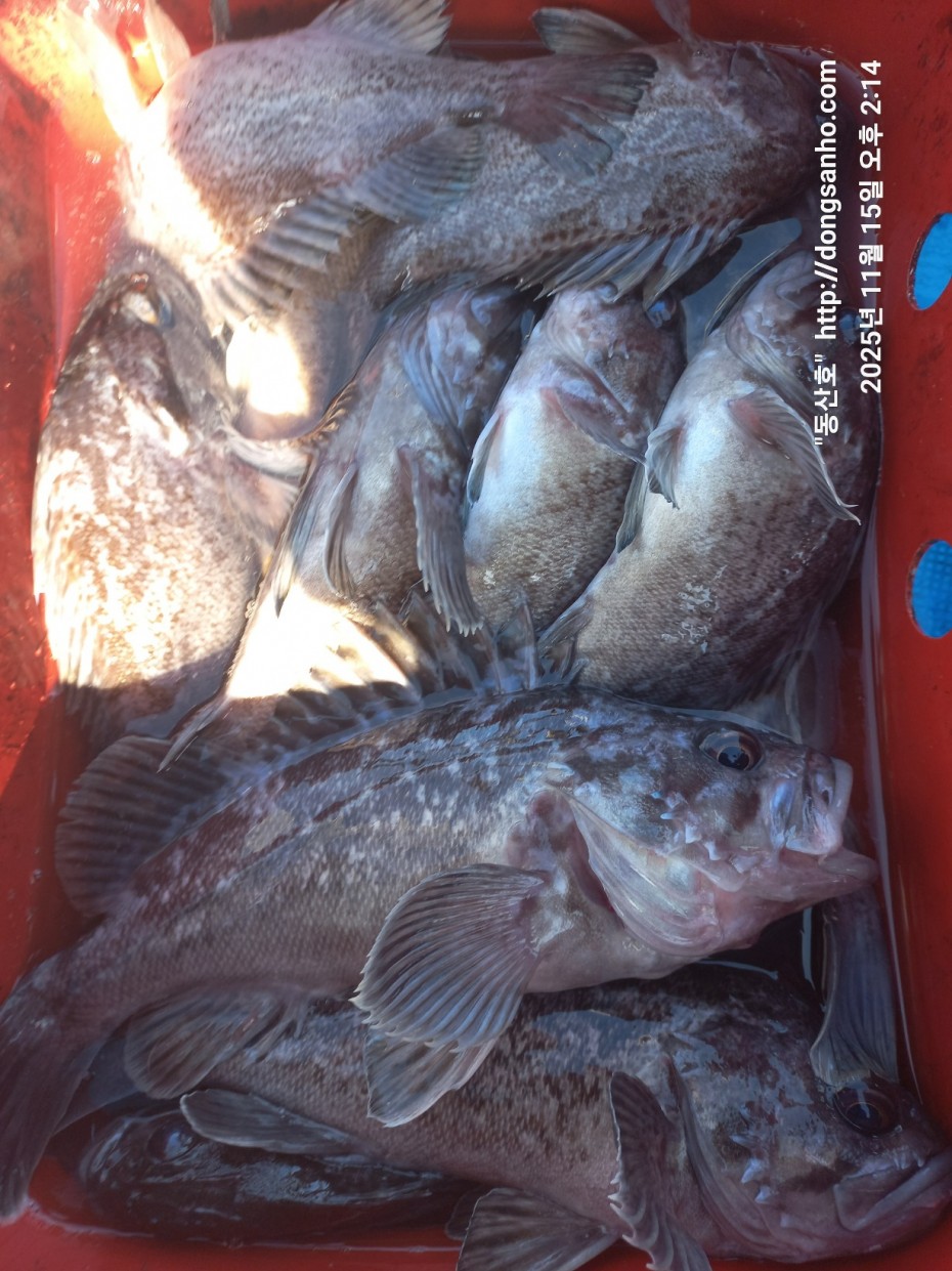 470b55d5e41a17c028eb64456d55faa6_1763337