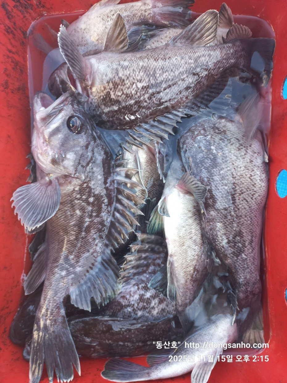 470b55d5e41a17c028eb64456d55faa6_1763337