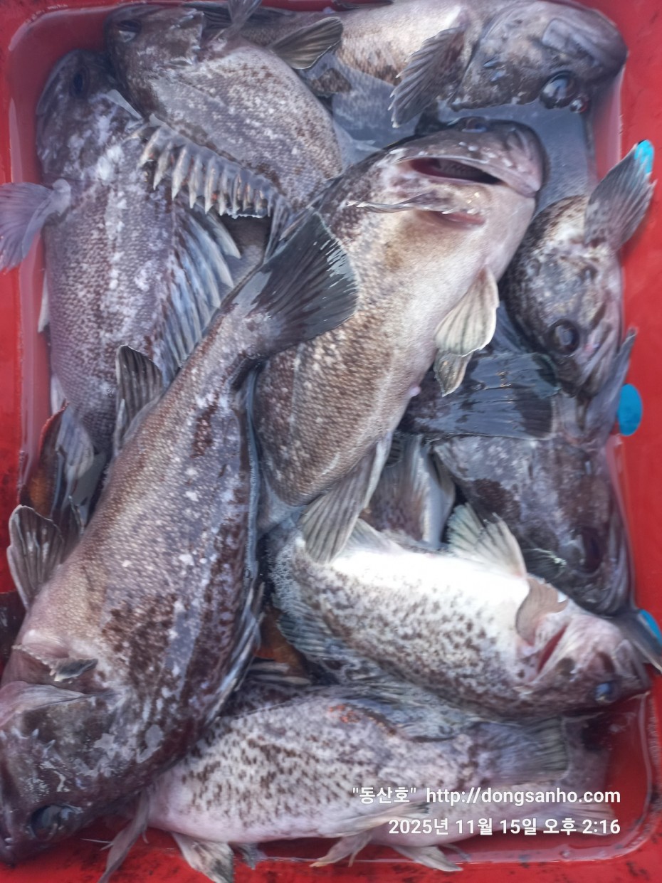 470b55d5e41a17c028eb64456d55faa6_1763337