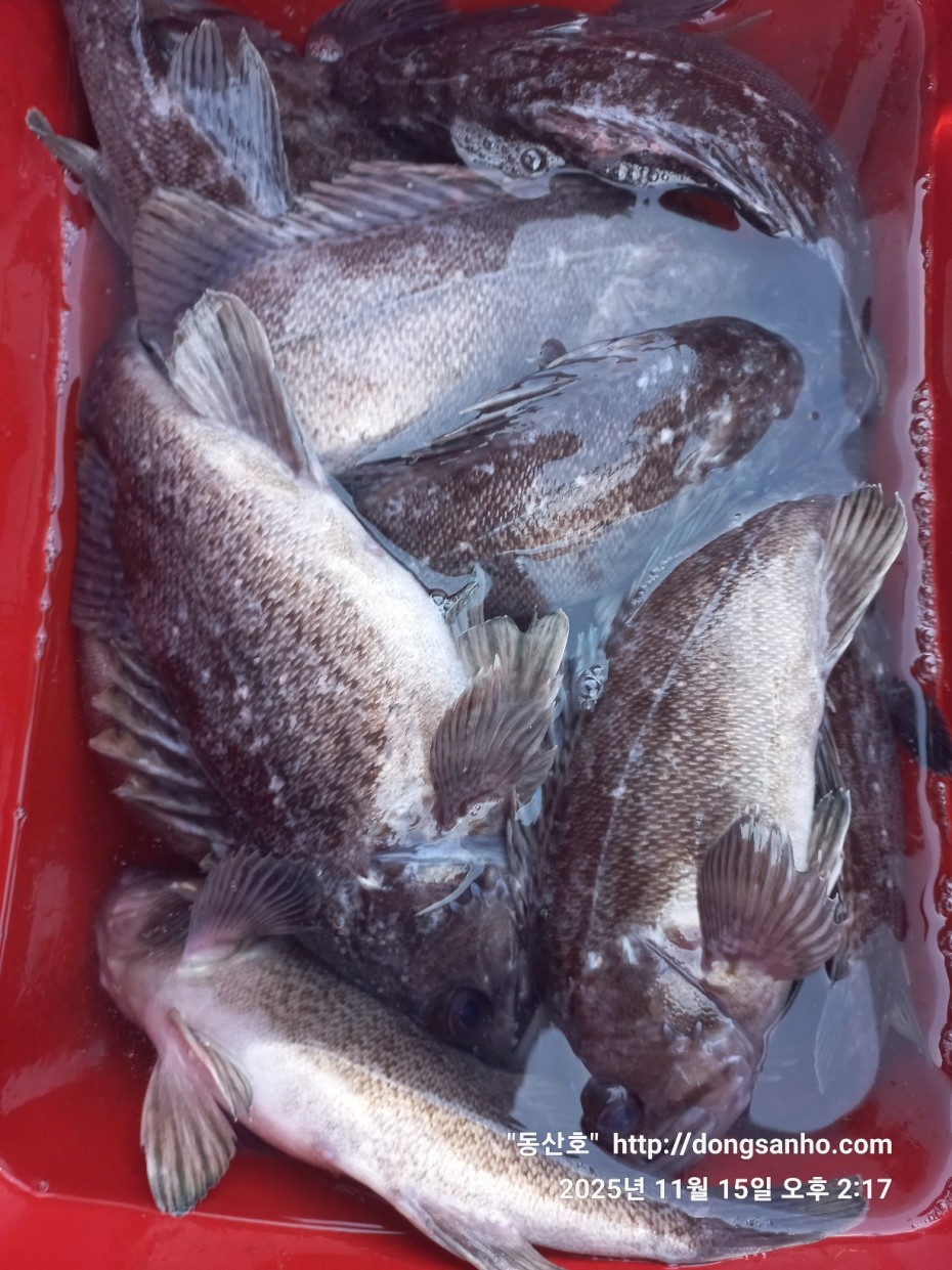 470b55d5e41a17c028eb64456d55faa6_1763337