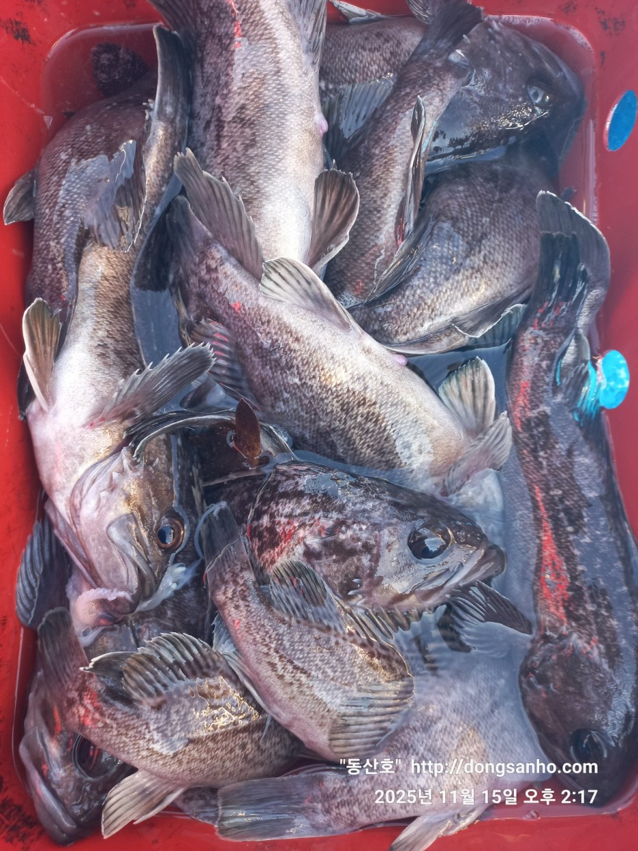 470b55d5e41a17c028eb64456d55faa6_1763337