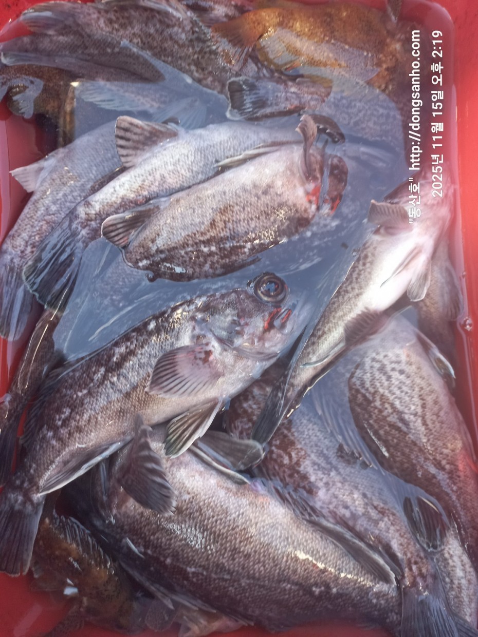 470b55d5e41a17c028eb64456d55faa6_1763337