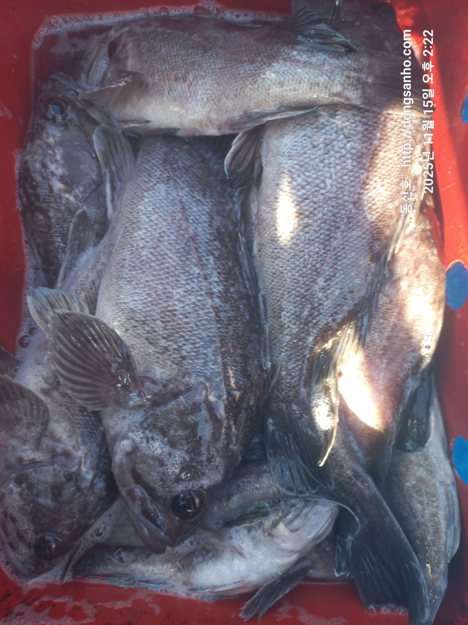 470b55d5e41a17c028eb64456d55faa6_1763337