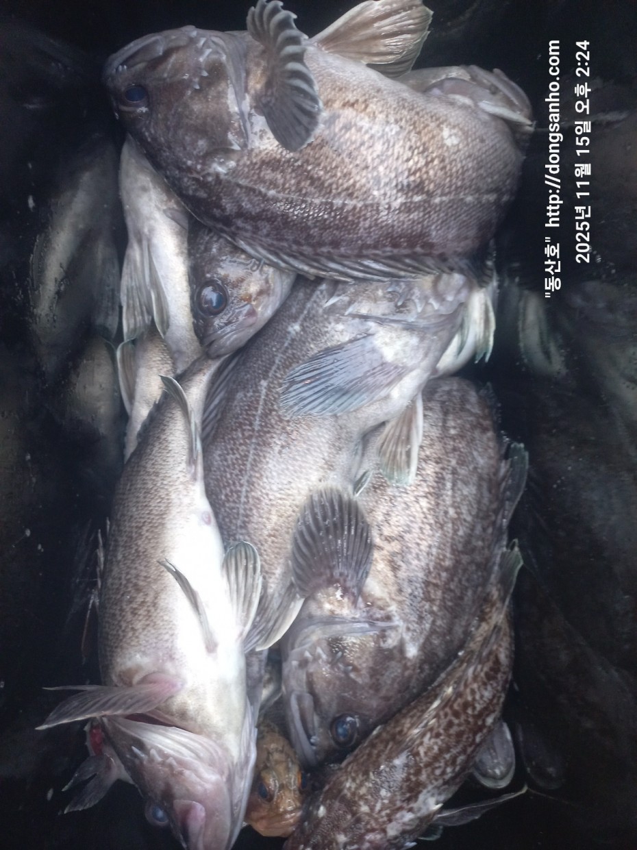 470b55d5e41a17c028eb64456d55faa6_1763337