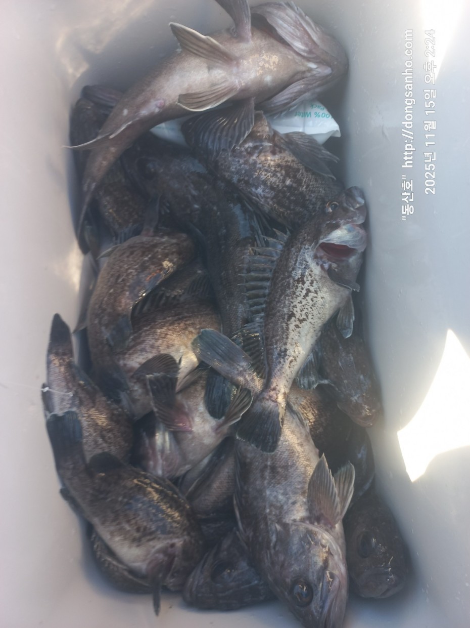 470b55d5e41a17c028eb64456d55faa6_1763337