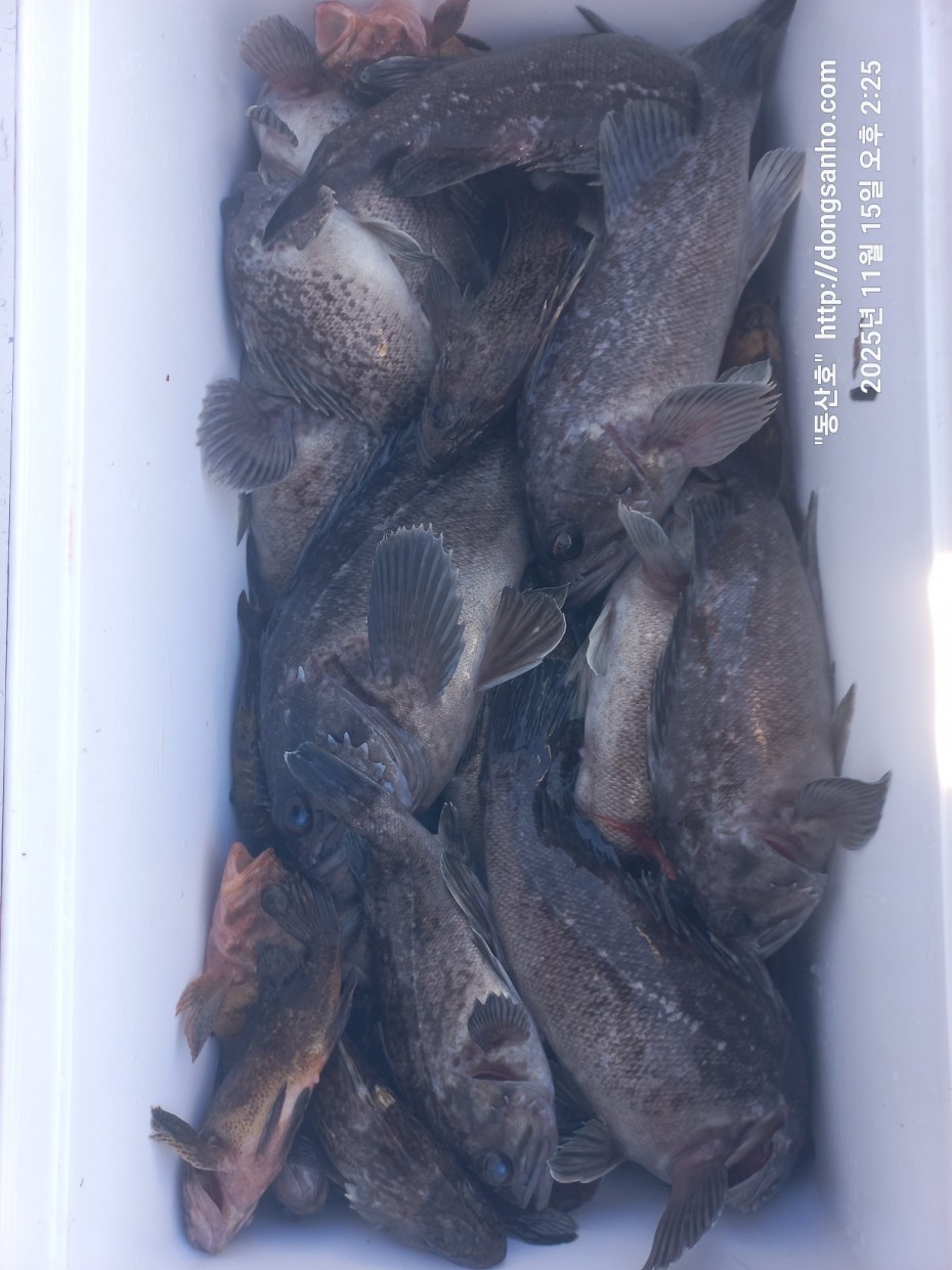 470b55d5e41a17c028eb64456d55faa6_1763337