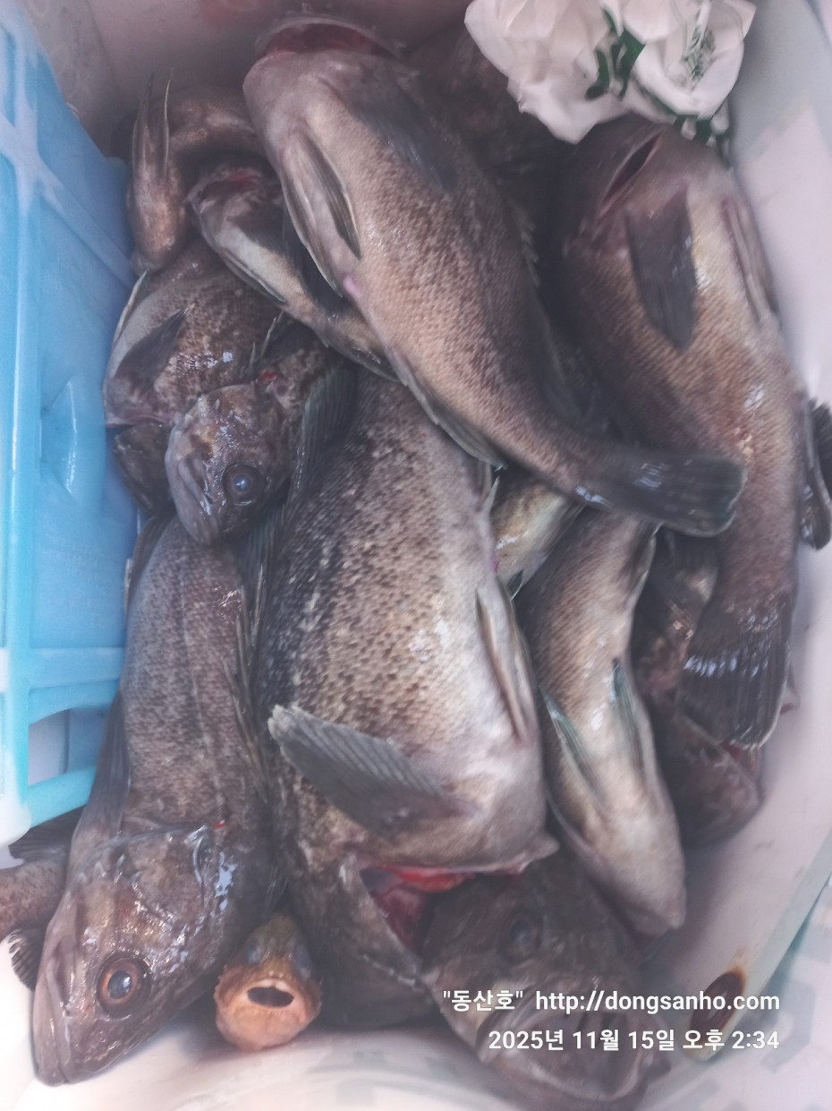 470b55d5e41a17c028eb64456d55faa6_1763337