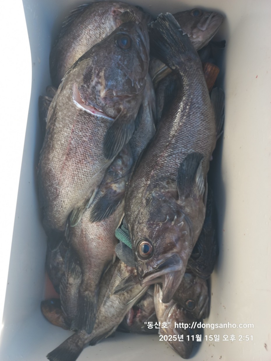 470b55d5e41a17c028eb64456d55faa6_1763337