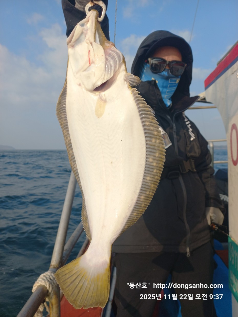 47d111af0bd215692128942c65d4570d_1763914