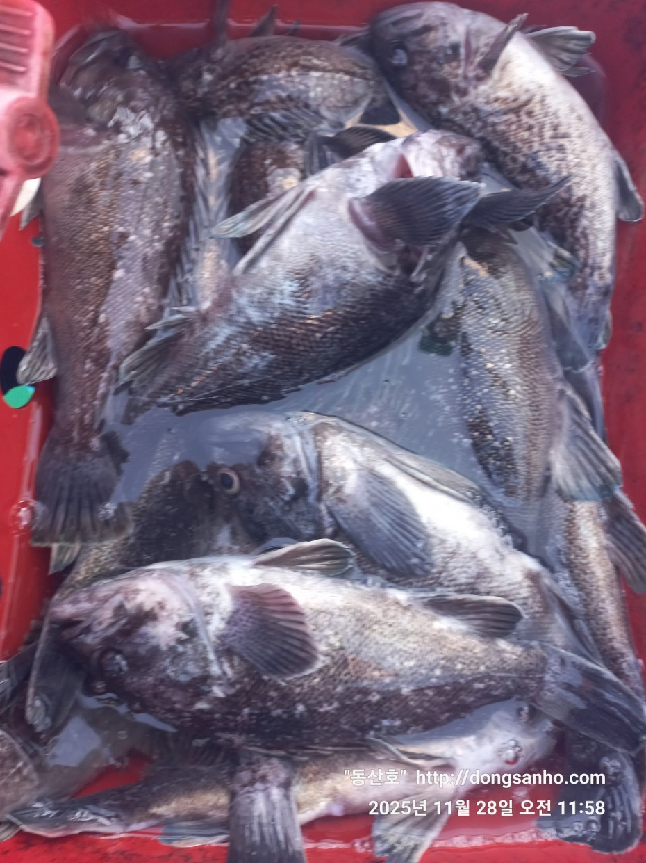 5a44d107e01733ab94a12b7cacca1ed0_1764346