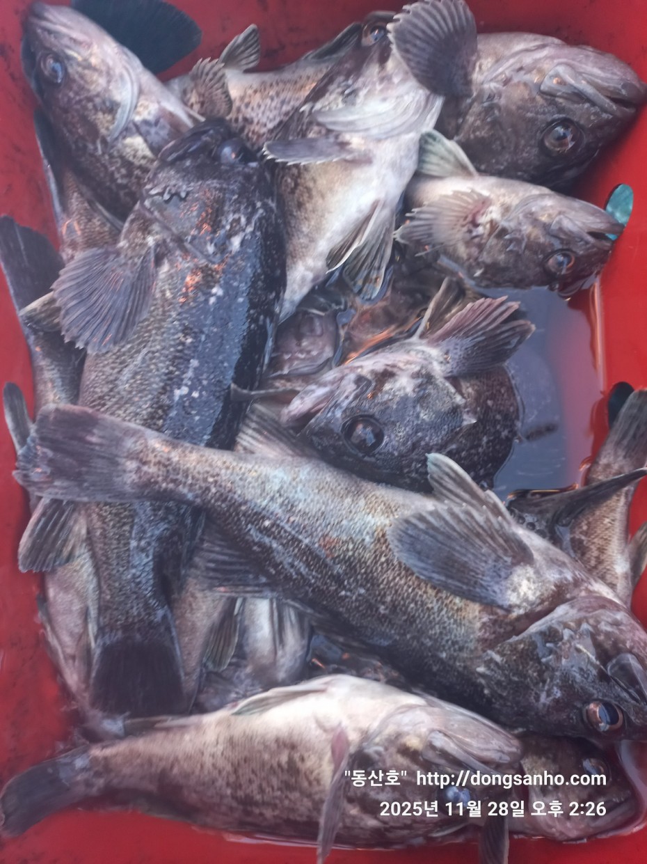 5a44d107e01733ab94a12b7cacca1ed0_1764346