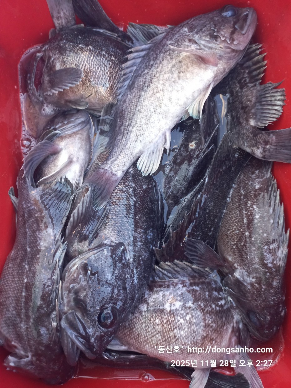 5a44d107e01733ab94a12b7cacca1ed0_1764346