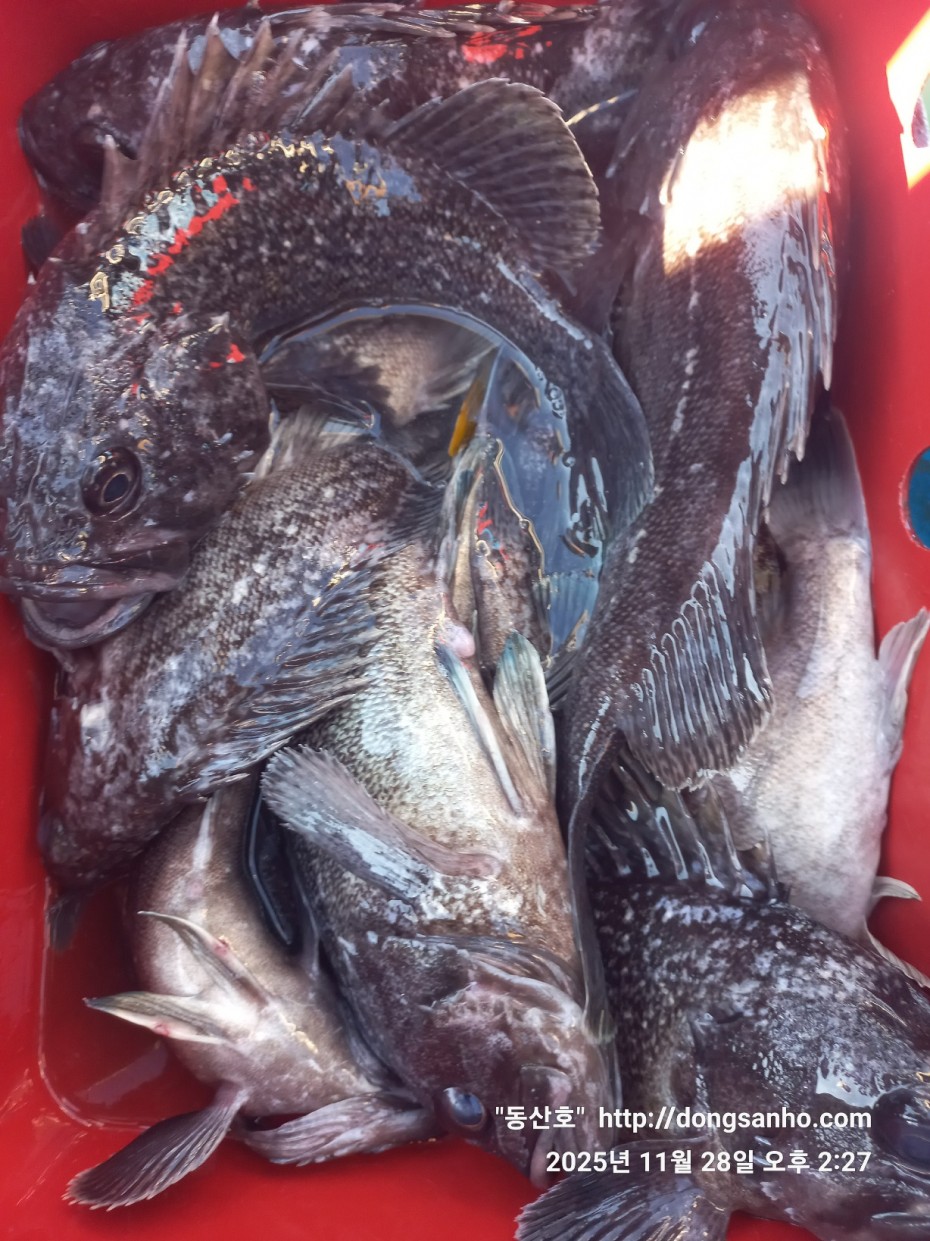 5a44d107e01733ab94a12b7cacca1ed0_1764346