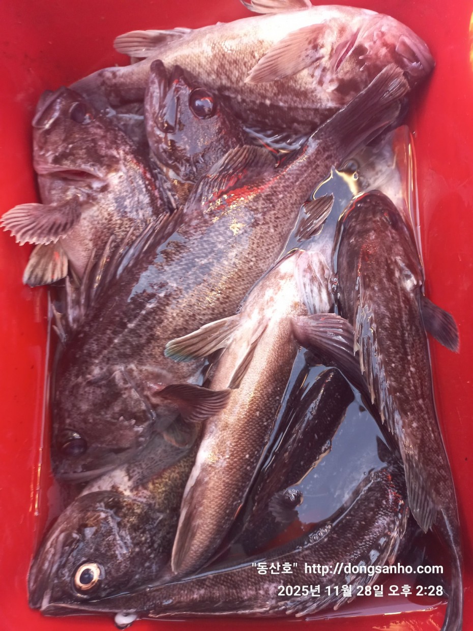 5a44d107e01733ab94a12b7cacca1ed0_1764346