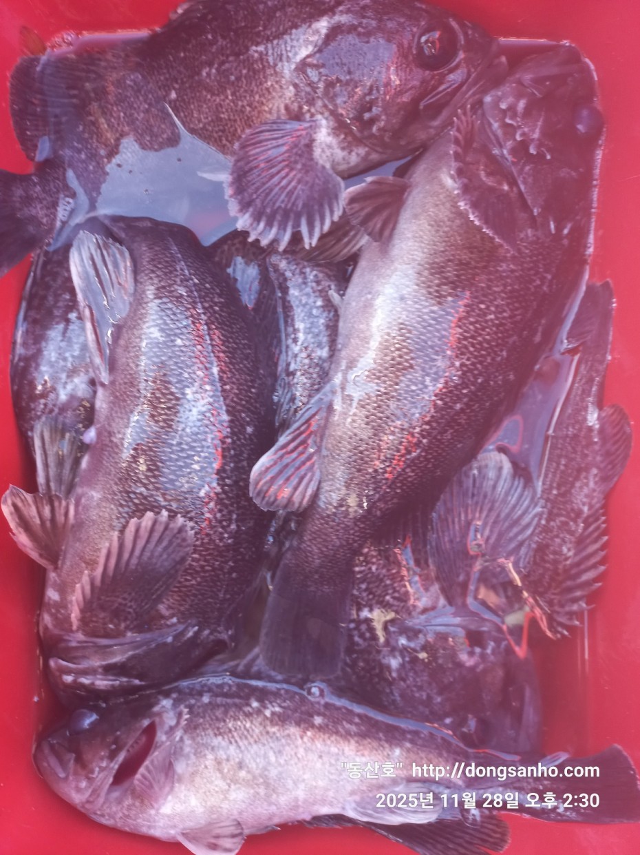 5a44d107e01733ab94a12b7cacca1ed0_1764346