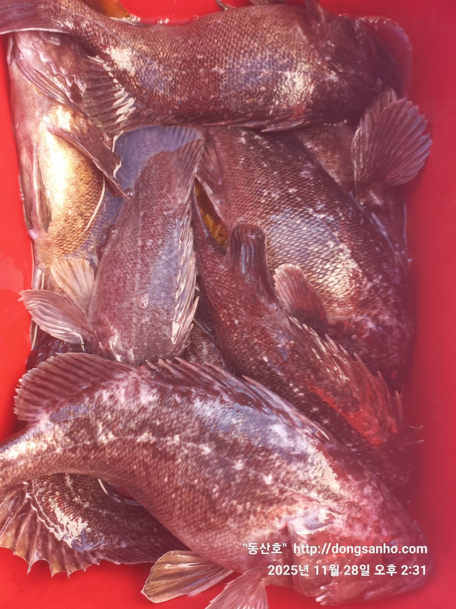 5a44d107e01733ab94a12b7cacca1ed0_1764346