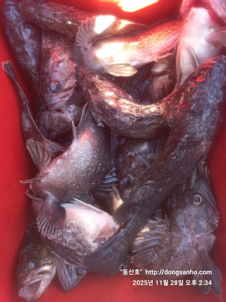 5a44d107e01733ab94a12b7cacca1ed0_1764346