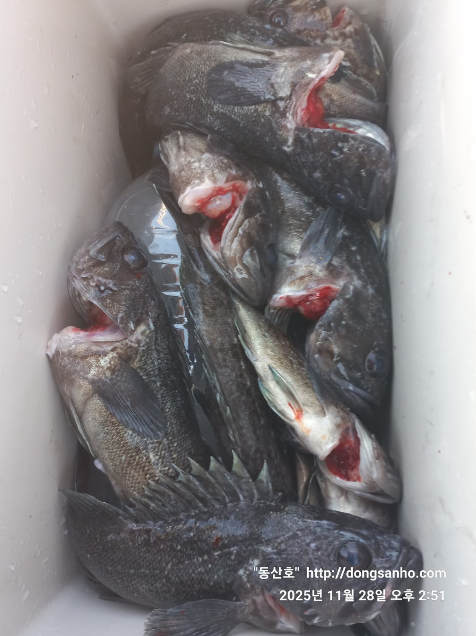 5a44d107e01733ab94a12b7cacca1ed0_1764346