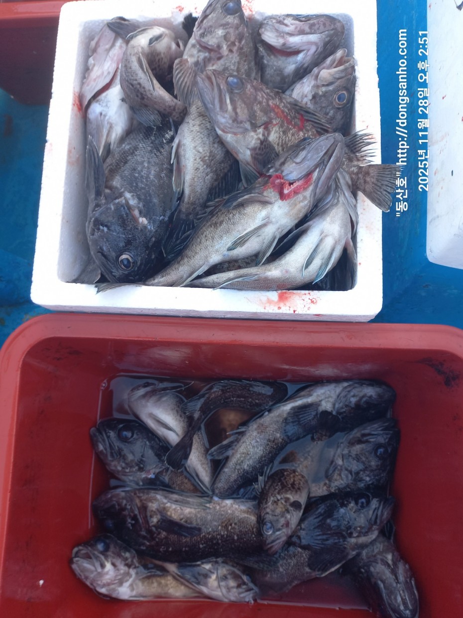 5a44d107e01733ab94a12b7cacca1ed0_1764346