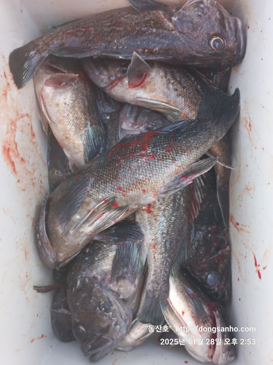 5a44d107e01733ab94a12b7cacca1ed0_1764346