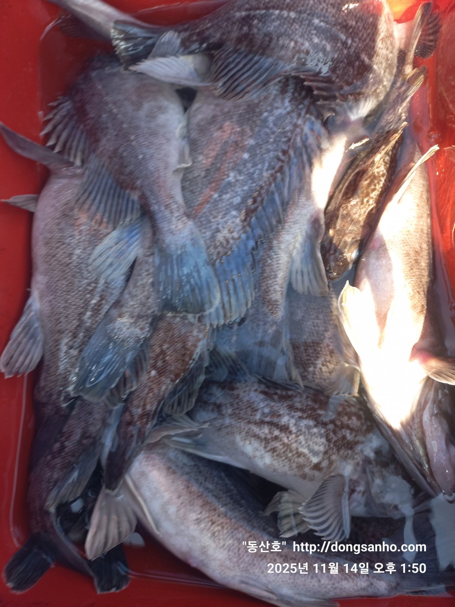 672248b6a83ed541a2eda19a216dbdf9_1763143