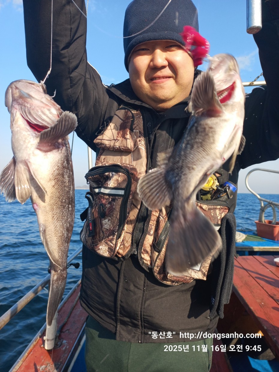 672248b6a83ed541a2eda19a216dbdf9_1763416