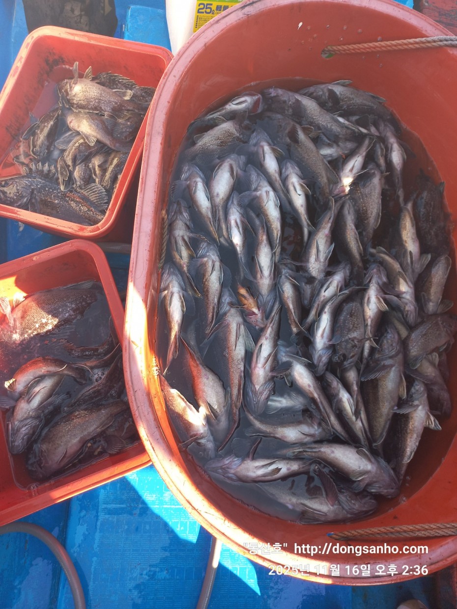 672248b6a83ed541a2eda19a216dbdf9_1763416