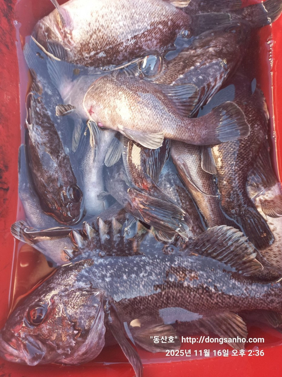 672248b6a83ed541a2eda19a216dbdf9_1763416