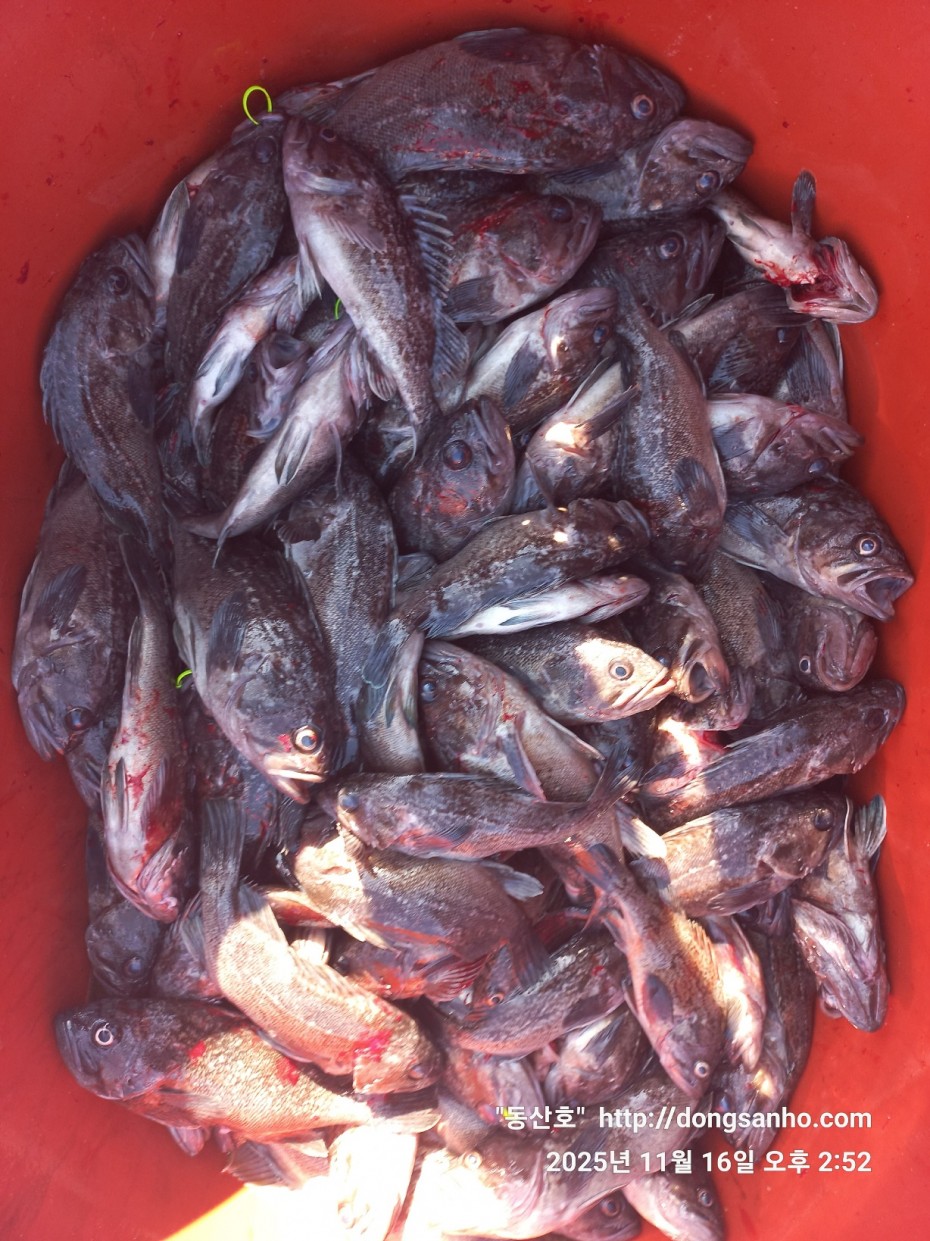 672248b6a83ed541a2eda19a216dbdf9_1763416