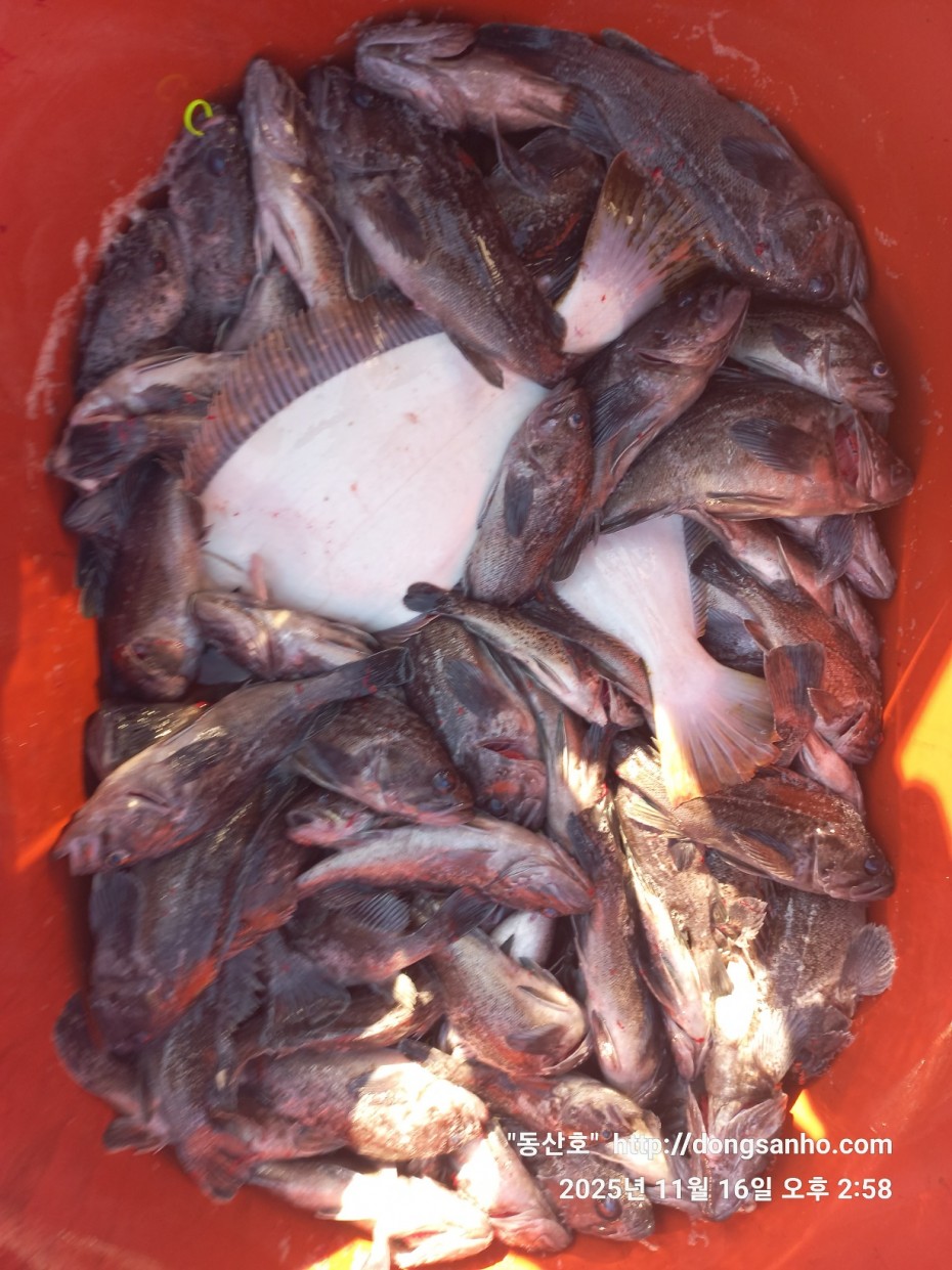 672248b6a83ed541a2eda19a216dbdf9_1763416