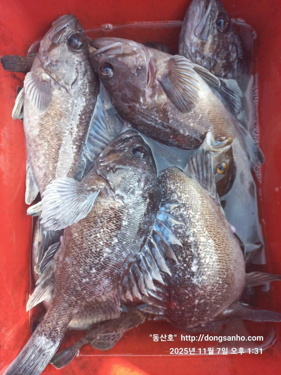 9221d1a988ae5593a7bdbc39289097b4_1762544