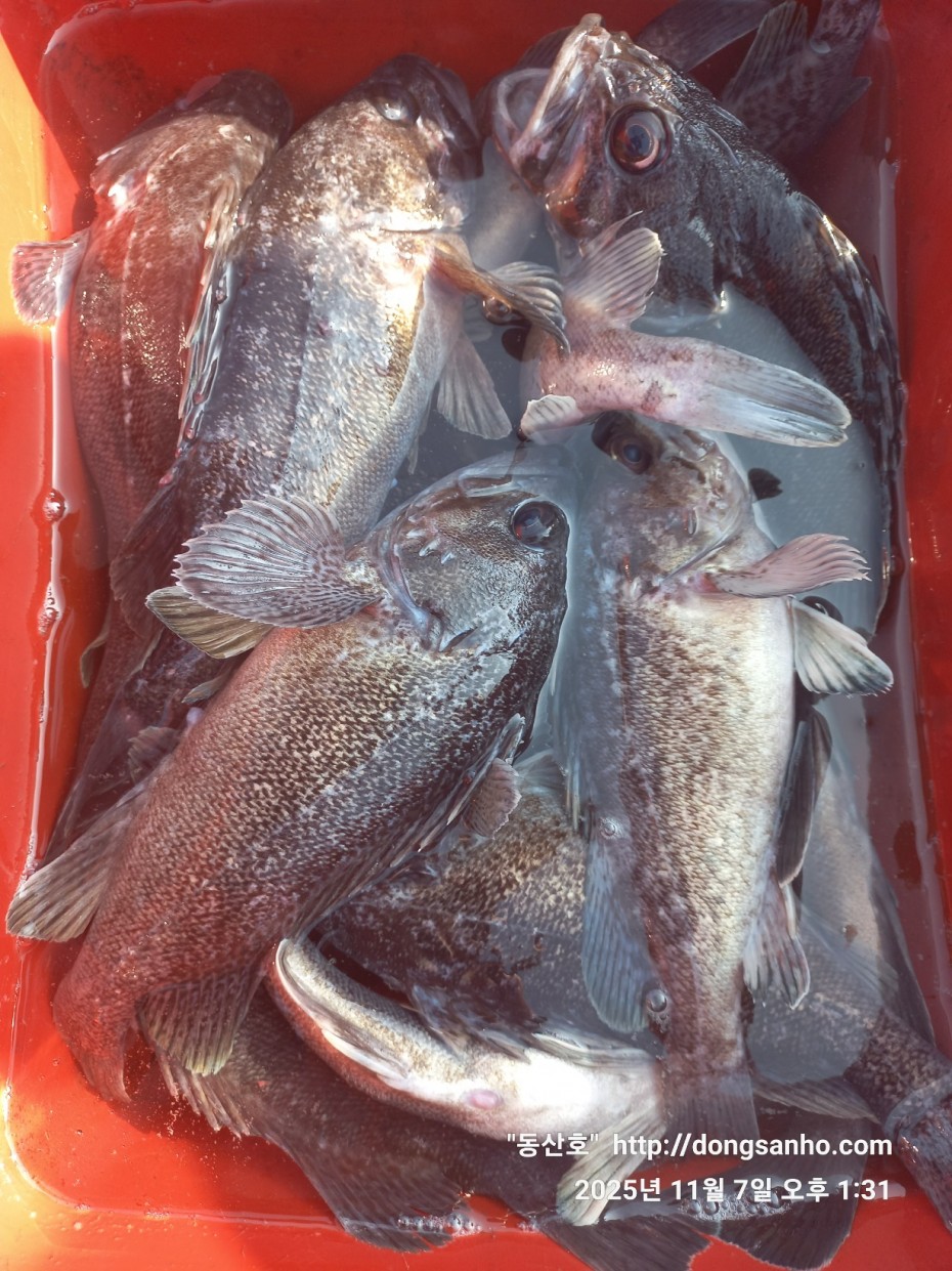 9221d1a988ae5593a7bdbc39289097b4_1762544