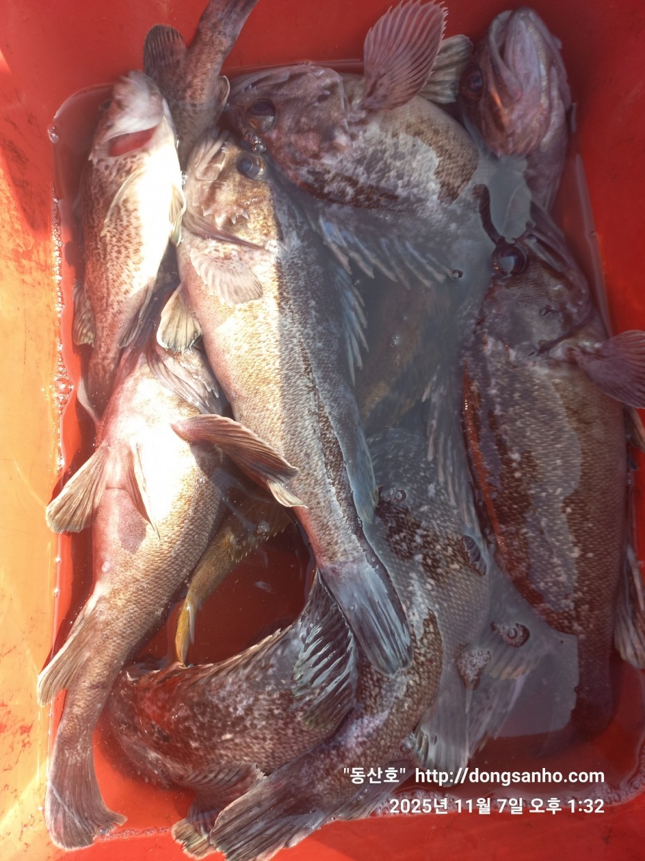 9221d1a988ae5593a7bdbc39289097b4_1762544