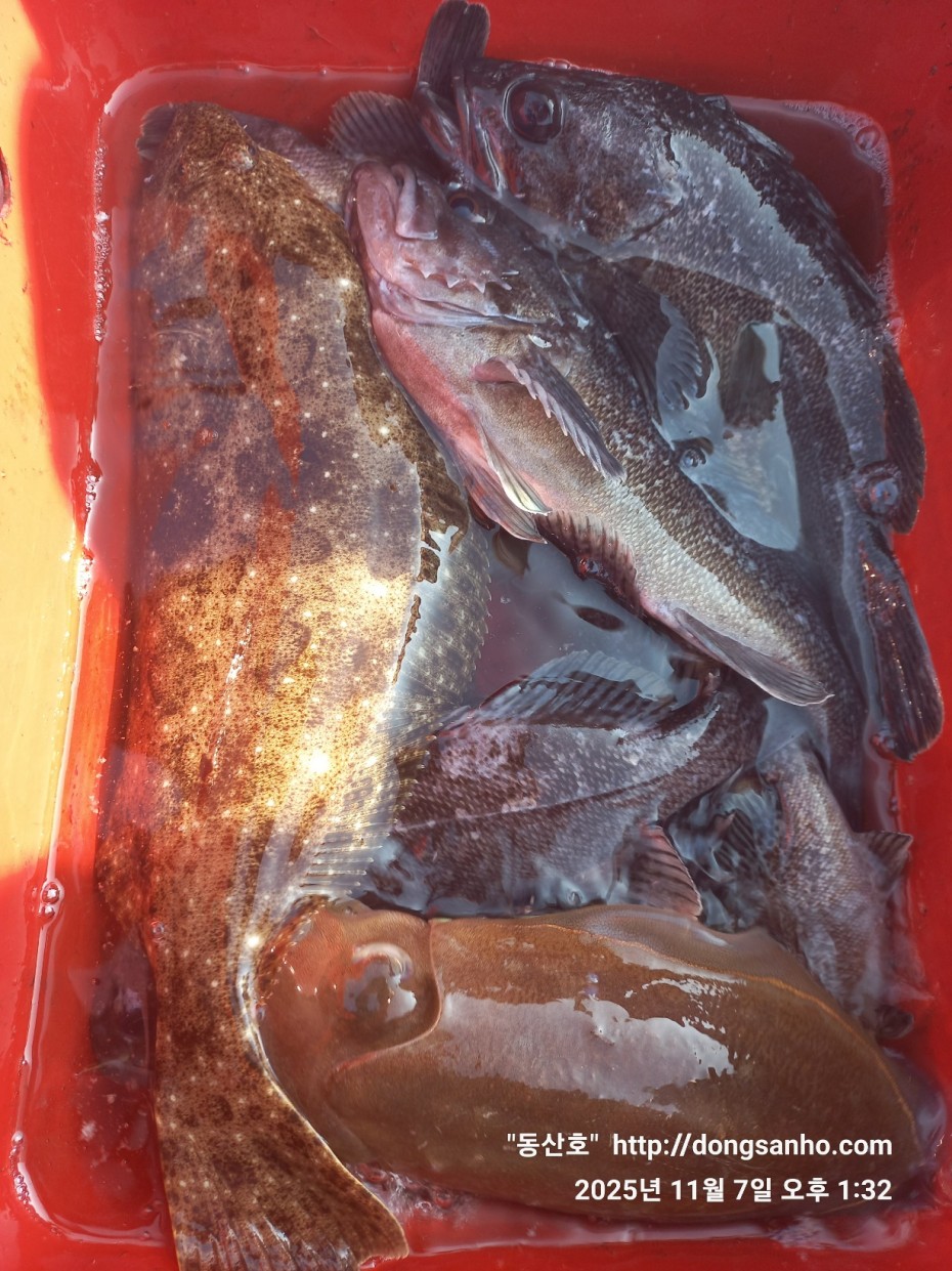 9221d1a988ae5593a7bdbc39289097b4_1762544