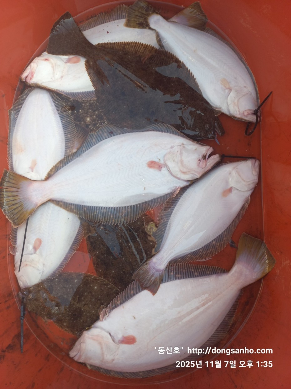 9221d1a988ae5593a7bdbc39289097b4_1762544