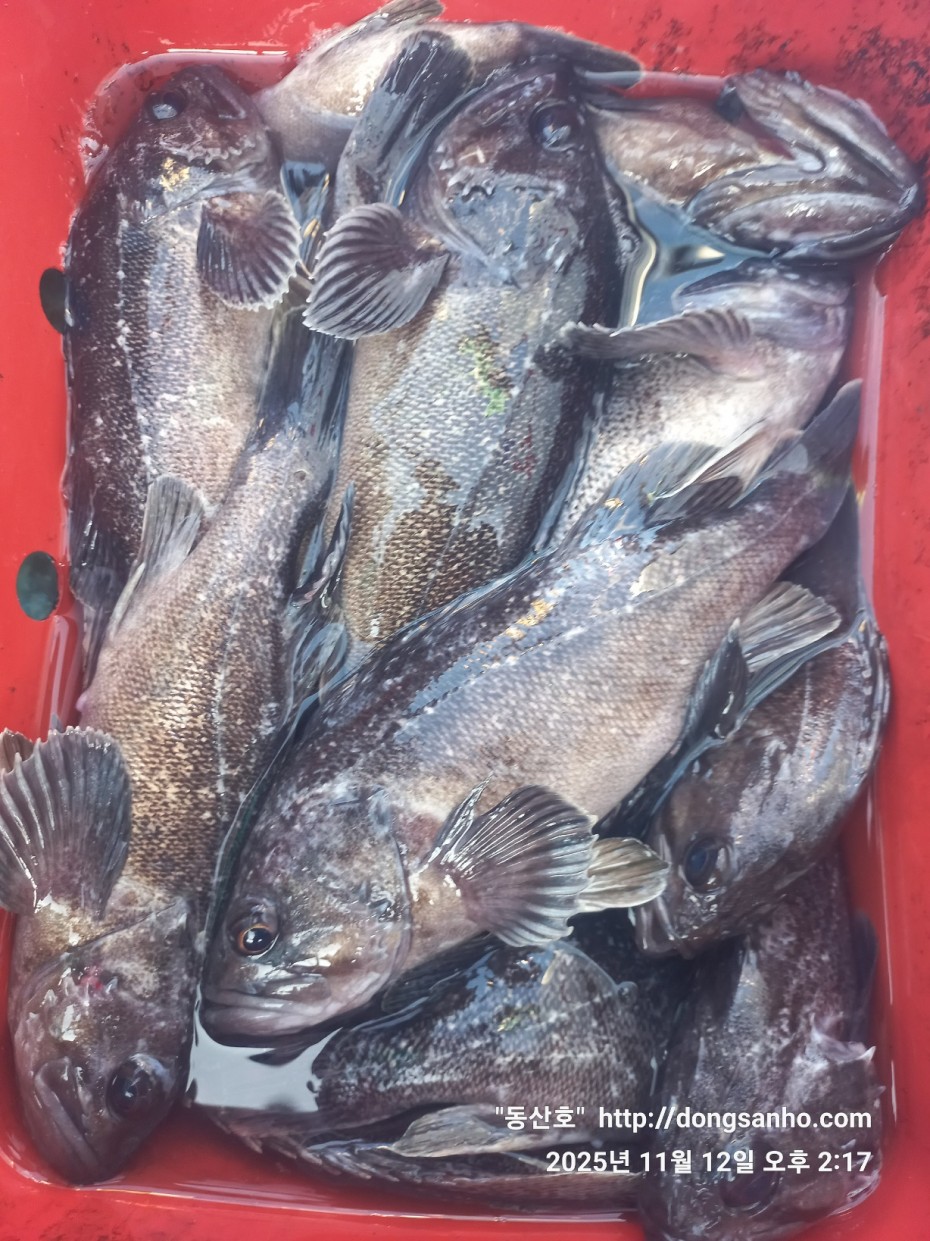 92c452c58eeac18ef7f956f80bad05e6_1762968