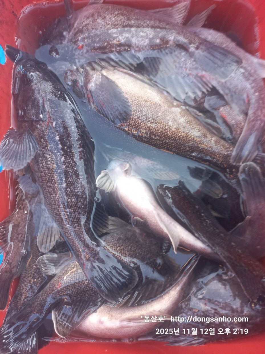 92c452c58eeac18ef7f956f80bad05e6_1762968