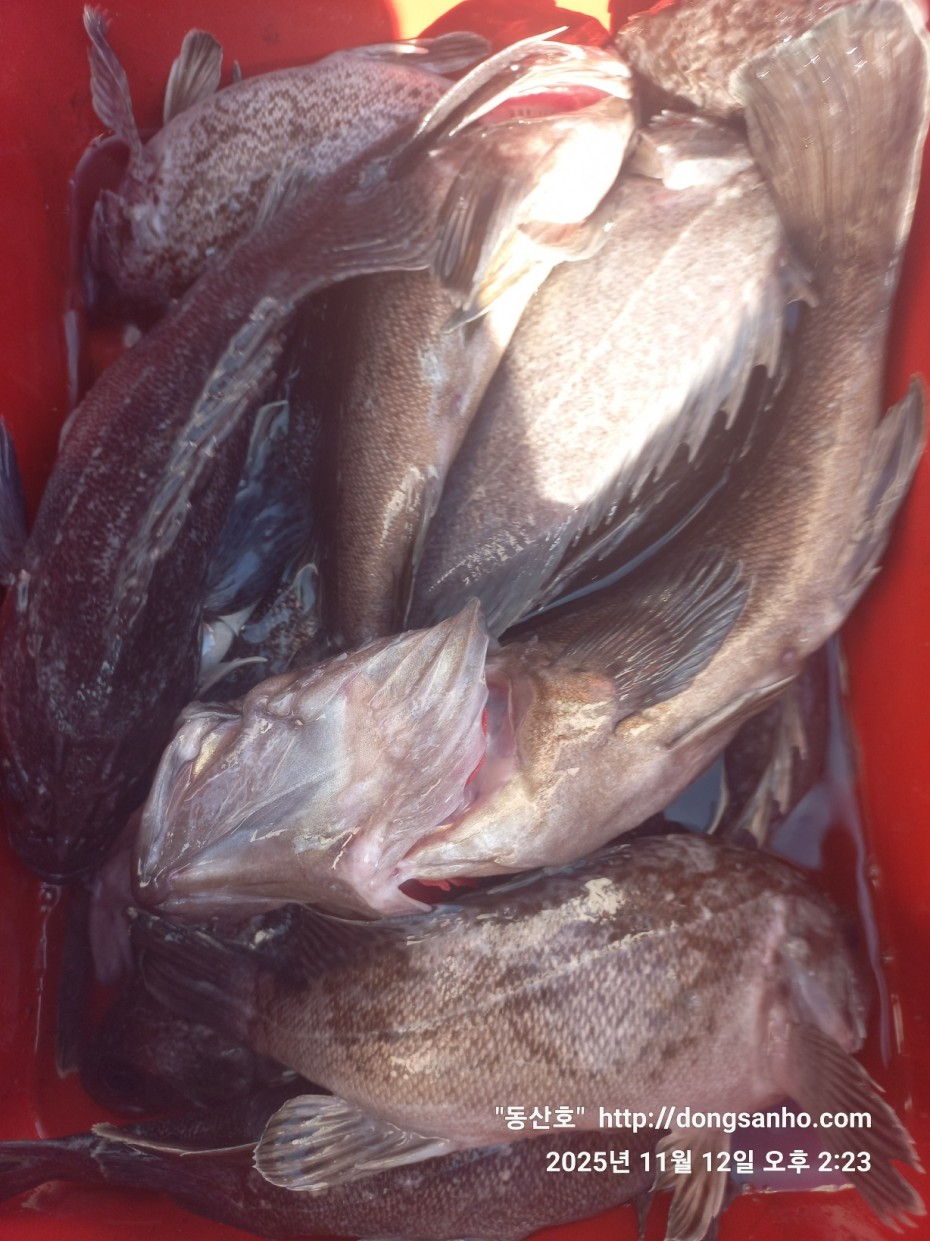 92c452c58eeac18ef7f956f80bad05e6_1762968