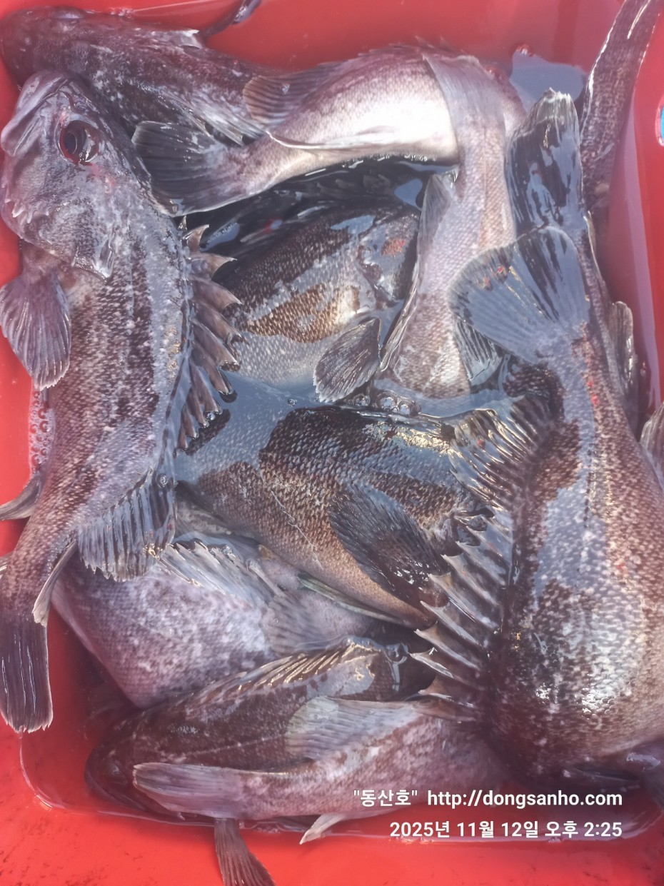 92c452c58eeac18ef7f956f80bad05e6_1762968